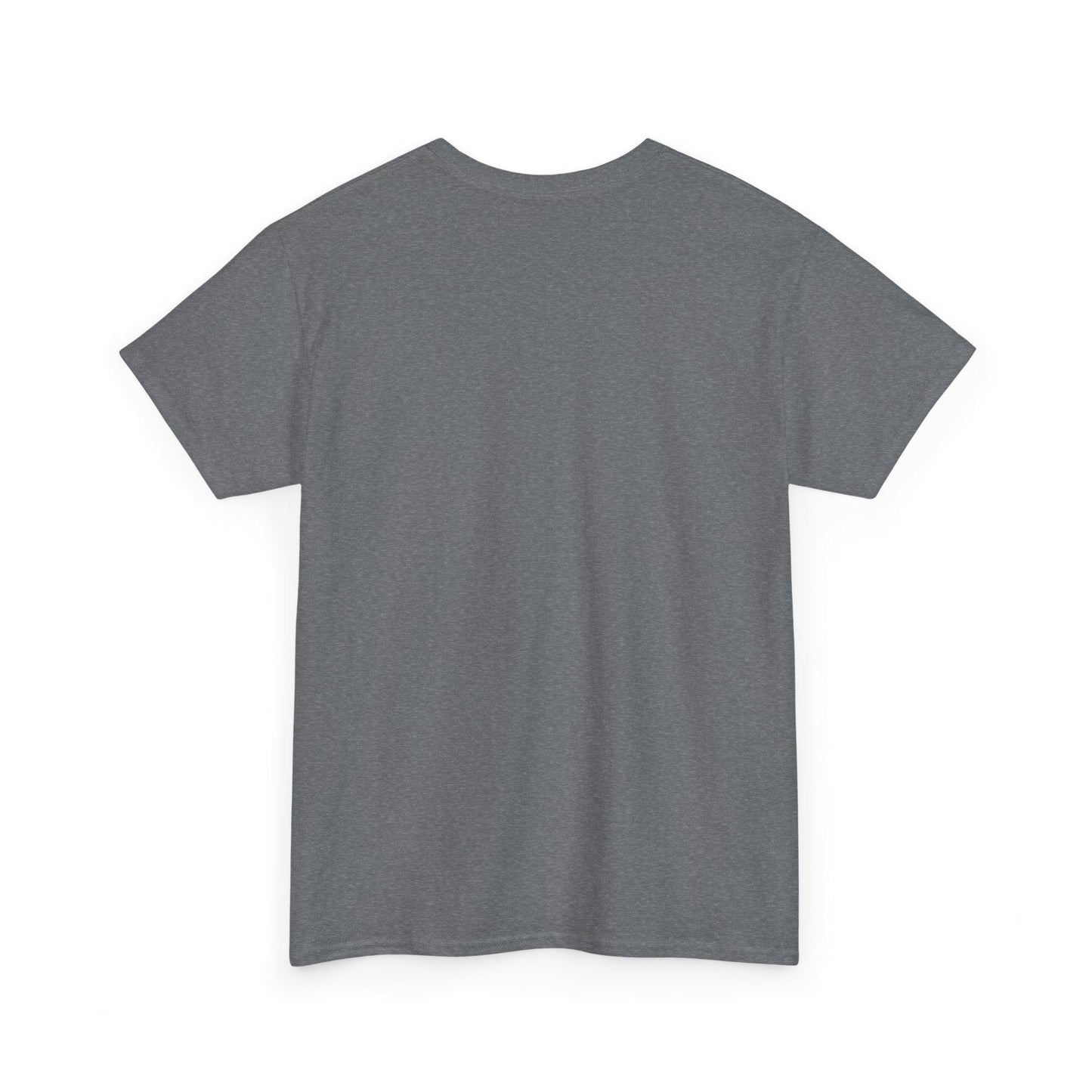 T-Shirt Campfire Women Grey Minnesota