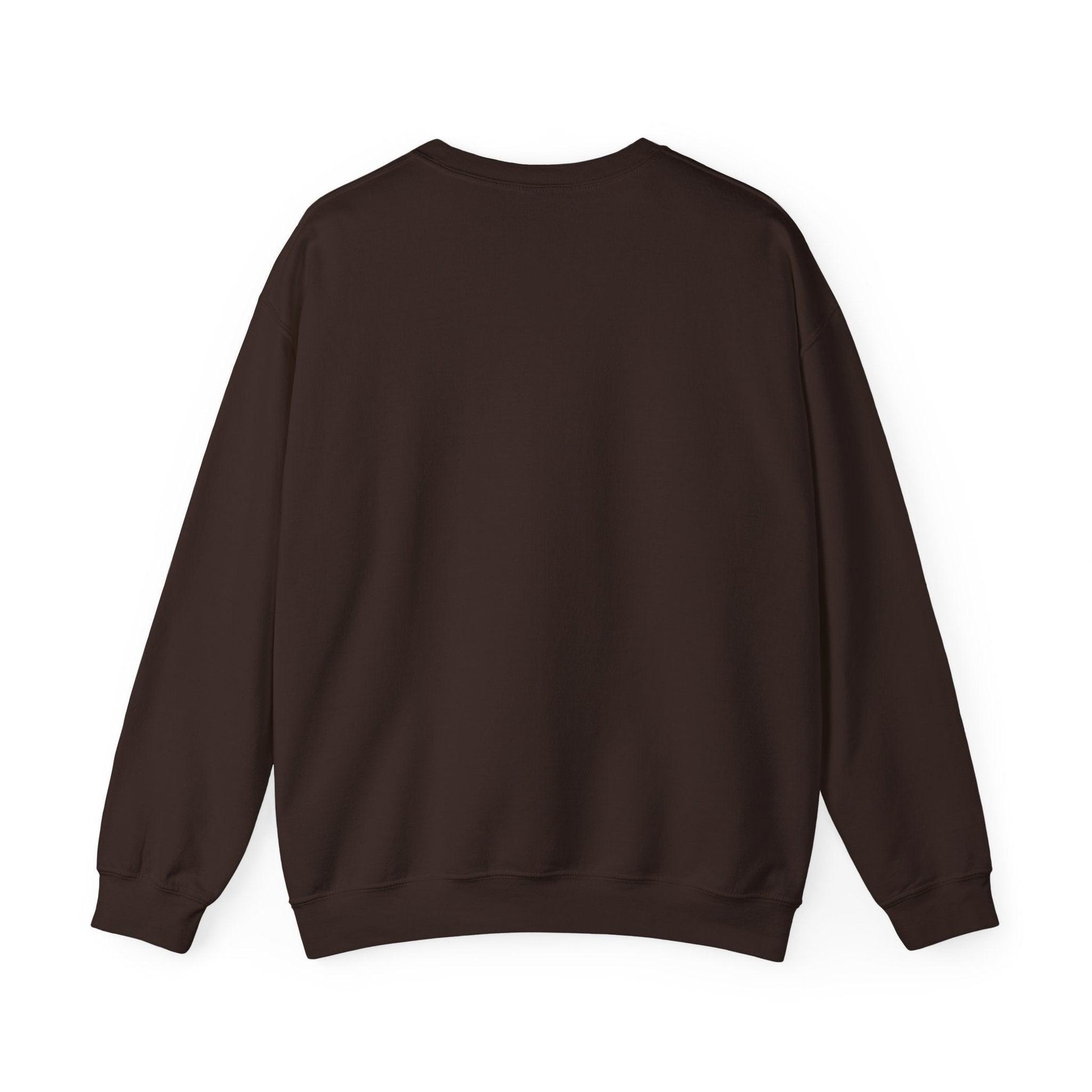 Men Sweatshirt Brown Chocolate Winter